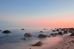 Photo by Sandy Wakeman