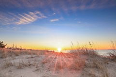 Photo by Sandy Wakeman