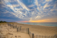 Photo by Sandy Wakeman