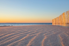 Photo by Sandy Wakeman