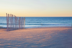 Photo by Sandy Wakeman