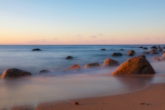 Photo by Sandy Wakeman