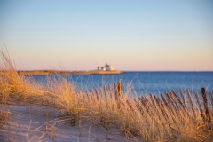 Photo by Sandy Wakeman