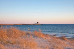 Photo by Sandy Wakeman